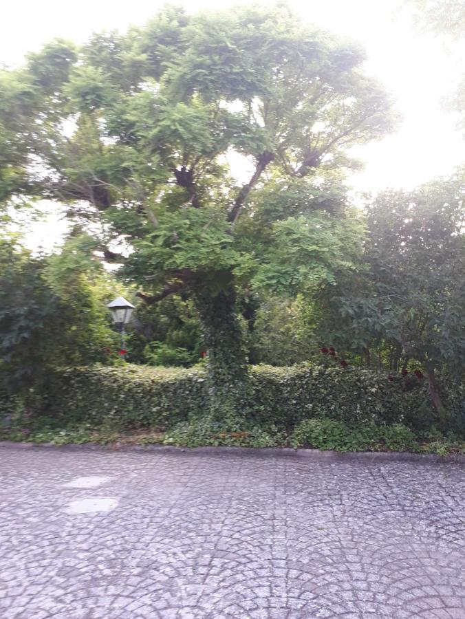 Il Casale Falagario Stacca Villa Altamura Exterior photo